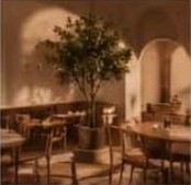 The café with an olive tree and arched doorway